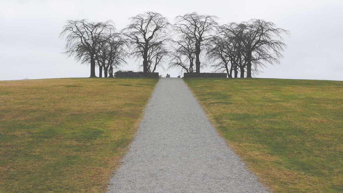 训练一个AI来评估其他AI的“道德水平”,这个监督者AI自身却产生了偏见。 训练一个AI来评估其他AI的“道德水平”,这个监督者AI自身却产生了偏见。