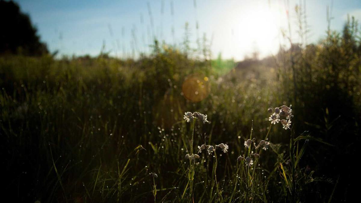 AI生成的“另一种人生”的现在样貌，中年男子，穿着西装，表情自信，背景是现代都市