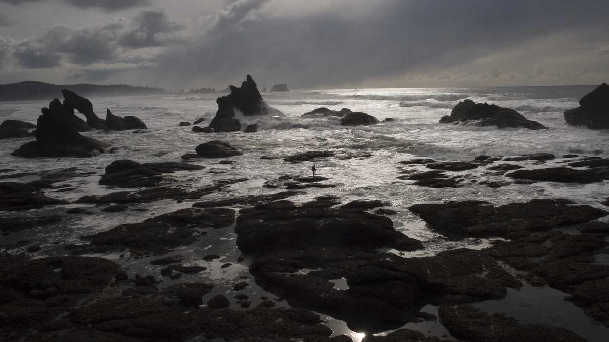 实践“第一日思维”：假装今天才拥有这副身体和记忆，如何重启