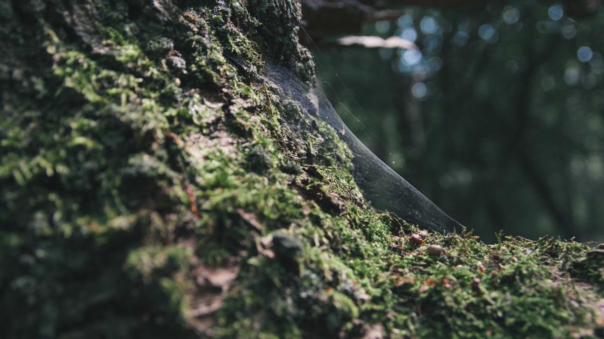 运动员个人信息（健康数据、位置信息）被俱乐部和赞助商随意共享，缺乏有效法律保护。