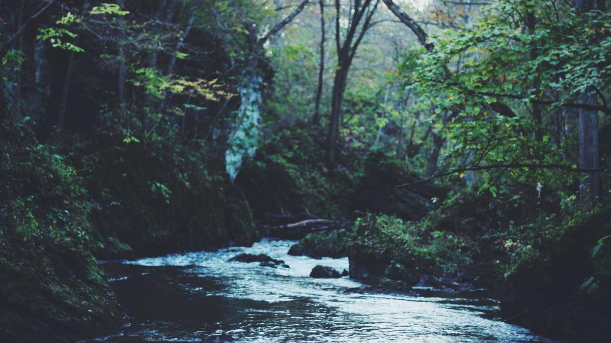 运动成为社交媒体上的“表演”，追求装备颜值和拍照效果胜过实际运动乐趣。